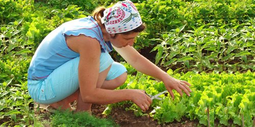 Orthopedic Injury Image